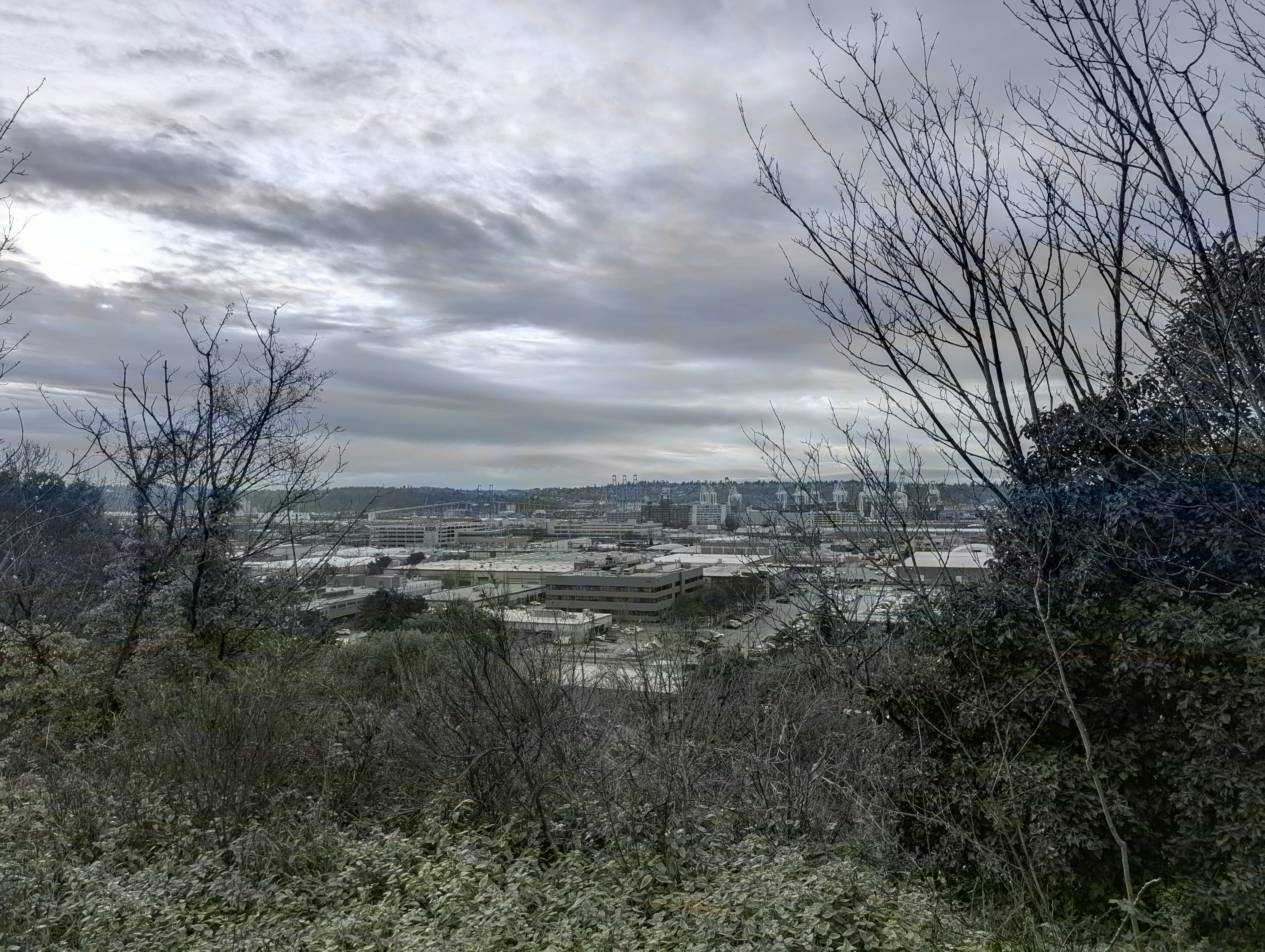 View of SODO from the bluff